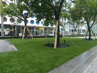 TK Artificial Turf & Synthetic Grass image 6